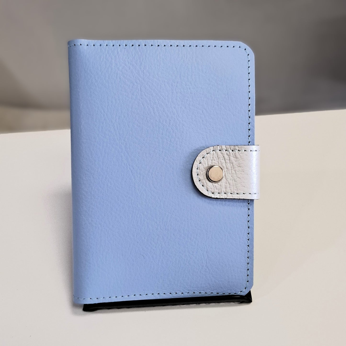 Fundas portapasaporte